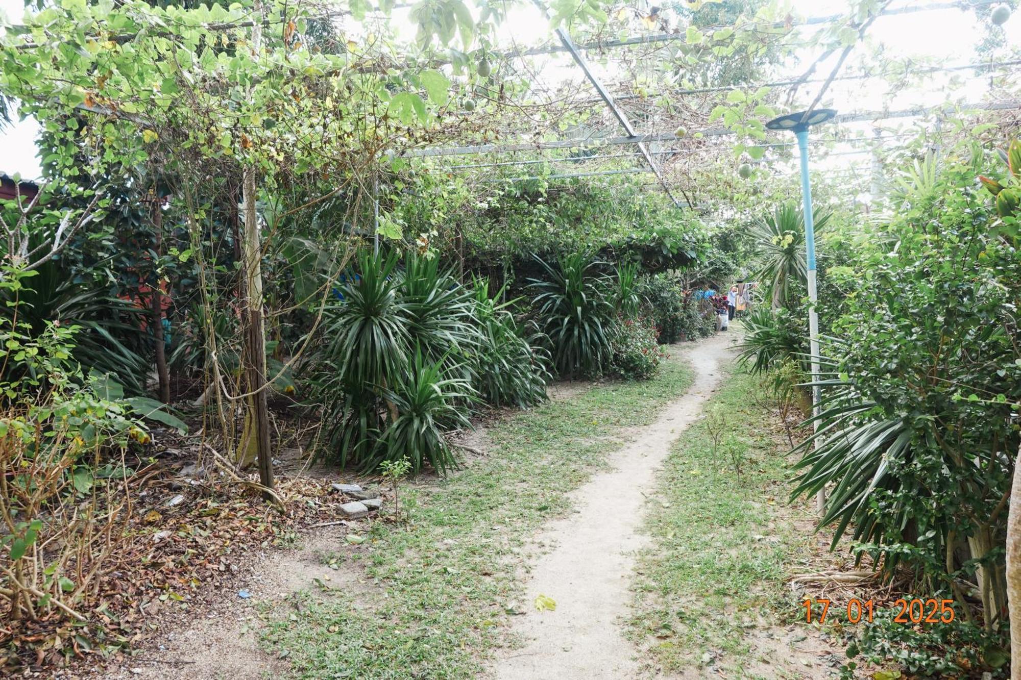 Subsavet Village Ko Pha Ngan Dış mekan fotoğraf