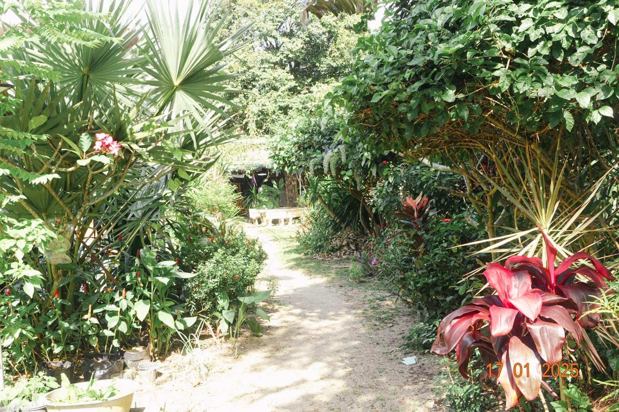 Subsavet Village Ko Pha Ngan Dış mekan fotoğraf